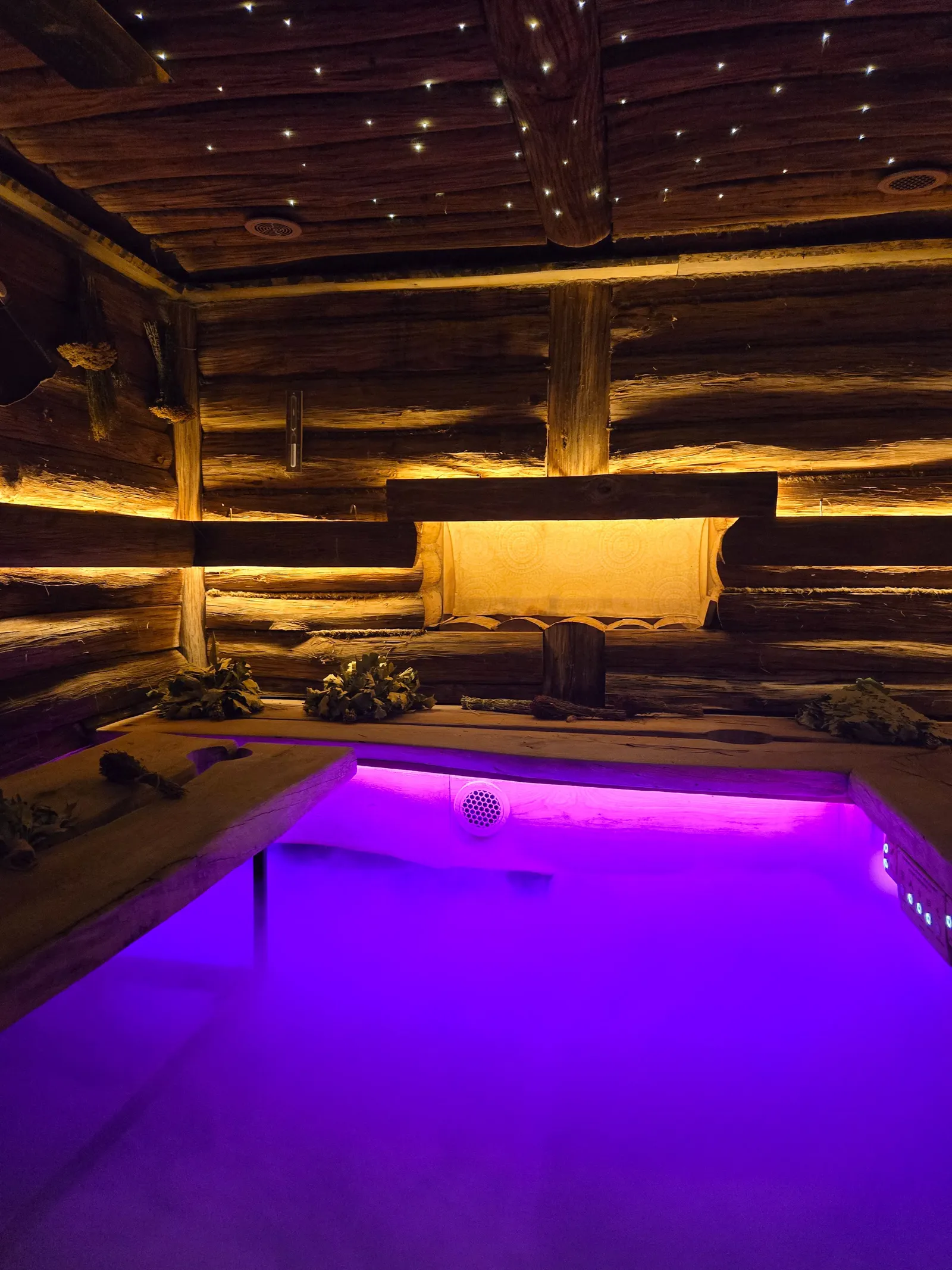 Purple-lit plunge pool